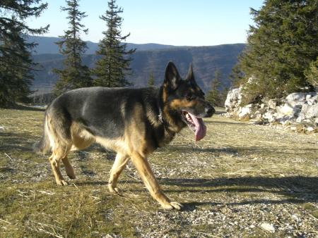 Ulysse dans son milieu