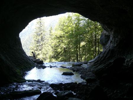 L'oeuil de la Chartreuse